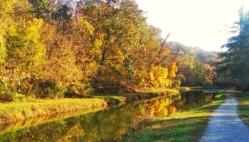 Autumn Gold near Lock 44 Cushwas Basin Access by Jane Schmidt