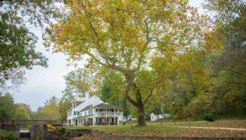 Autumn at Great Falls MD by Rena Schild