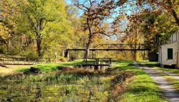 Autumn day on the canal by Jim Blair