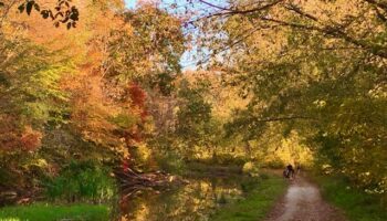 Birthday Gift - Near Pennyfield Lock by Katie Rapp