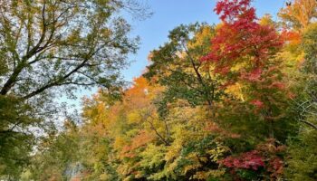 Color Blocks- below Pennyfield Lock by Katie Rapp