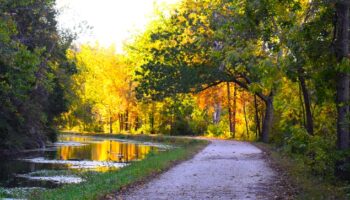 Downstream from Swains Lock by Christine Ley