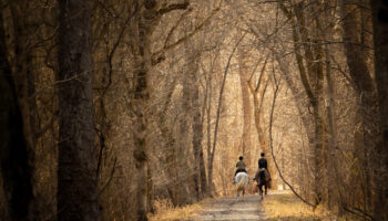 Equestrian Excursion - Near Lock 27 by Brian Anthony