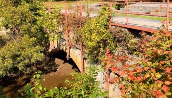 Evitts Creek Aqueduct by Alissa Rosenstein