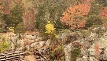 Fall Color Palette by Jeffrey Blander