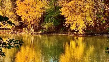 Golden Morning - Williamsport MD Mile Marker 102 by Beverly Edwards