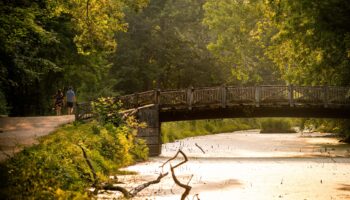 Late Afternoon Stroll by Brian Rimm