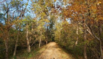 Late Fall Afternoon Along the Towpath Near Lock 27 by Jon Wolz