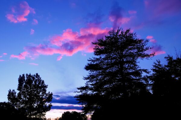 Little Pool Sunset- Lesley Pearl