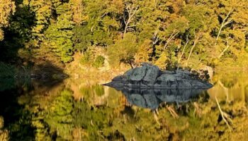 Mirror at Widewater Near Billy Goat A by Rick Needler