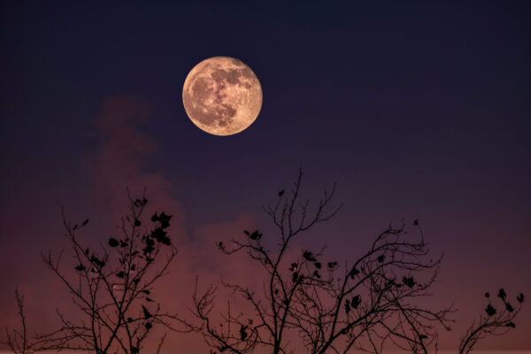 Moonset over the Canal by Vinod Thomas