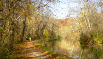 Morning Joggers by Paul Graunke