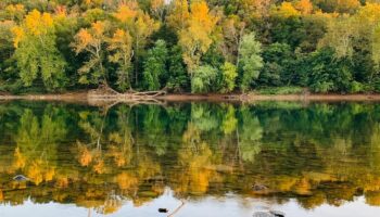 North of Taylors Landing along the towpath by Thomas Freeman