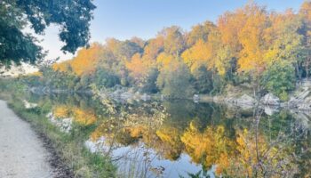 On Golden Canal by Jeffrey Blander