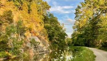 Summer Blooms Below Pennyfield Lock by Katie Rapp