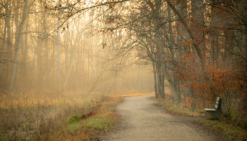 Towpath in Autumn near Great Falls by Rena Schild