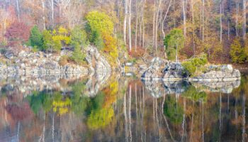 Widewater Fall Reflections by Francis Grant-Suttie