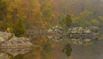 Widewater View by Kim Cawley