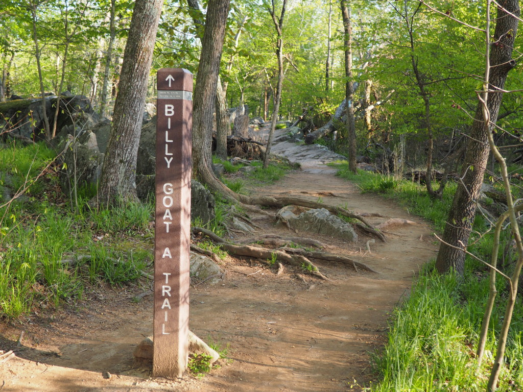 Top Hiking Trails Along The C&O Canal – C&O Canal Trust