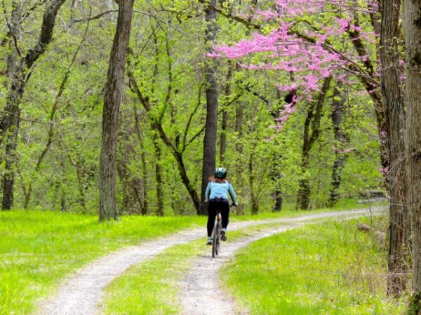 c and o canal biking