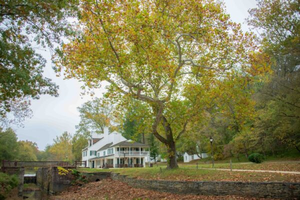 Autumn at Great Falls MD by Rena Schild