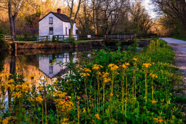 Lock 6, Idyllic Cabin in the Woods by Vinod Thomas